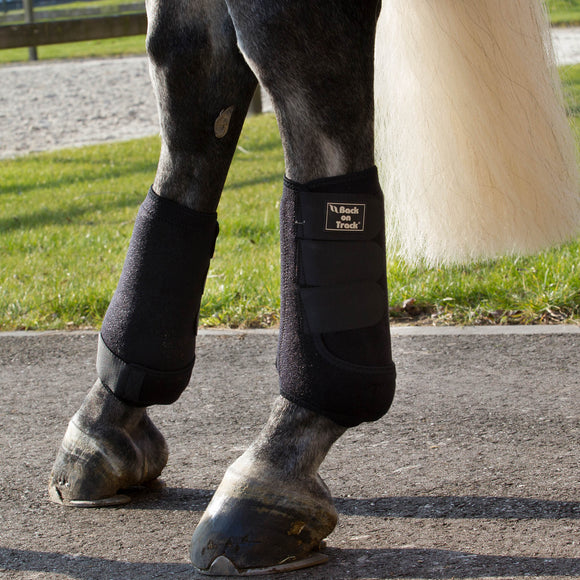 Horse Boots, Equestrian Boots – Back on Track Worldwide