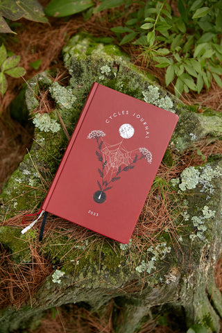 the Cycles journal is perched a top a wooded and mossed stump.