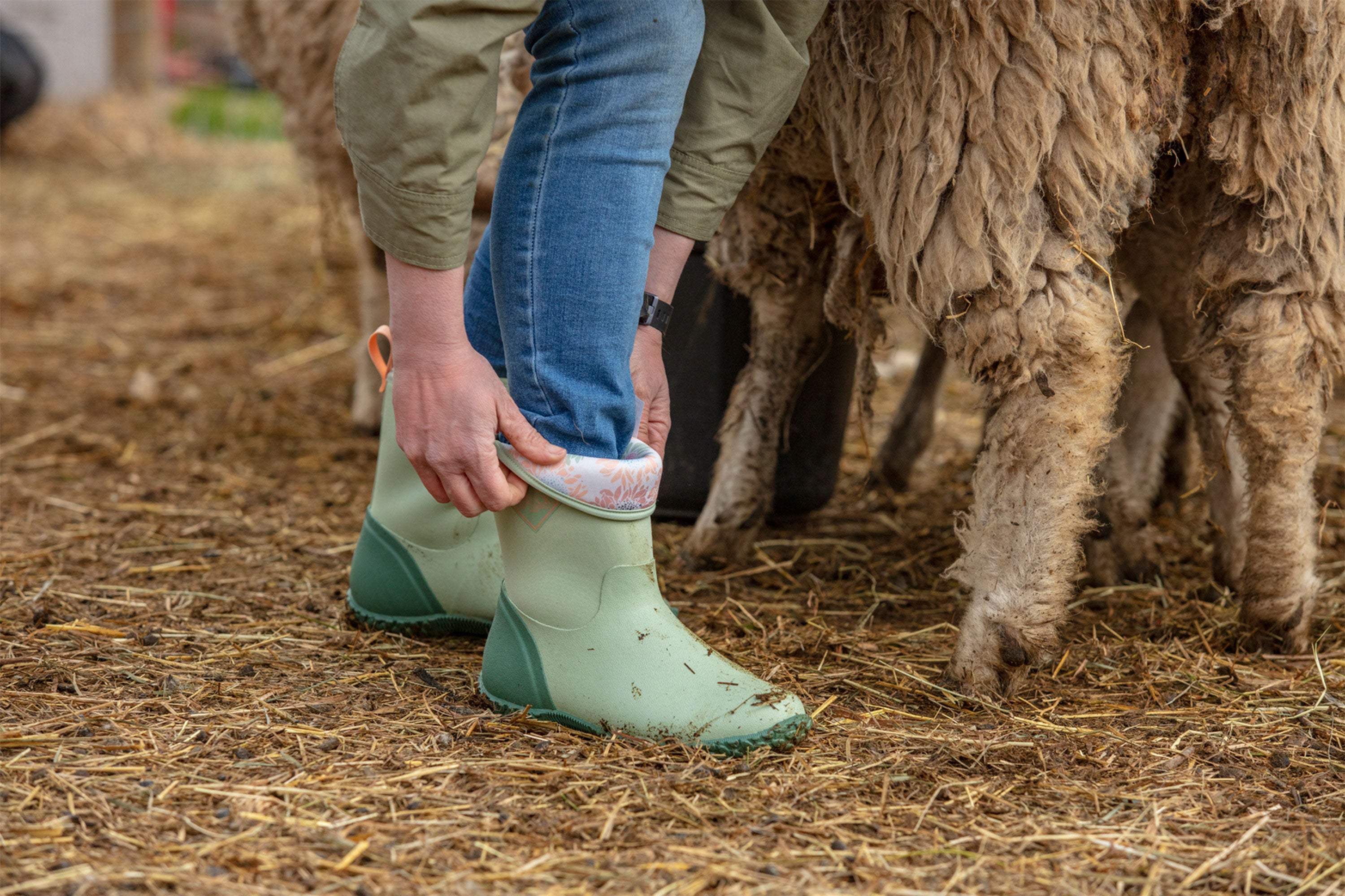 Person rolling down their boots while tending to sheep