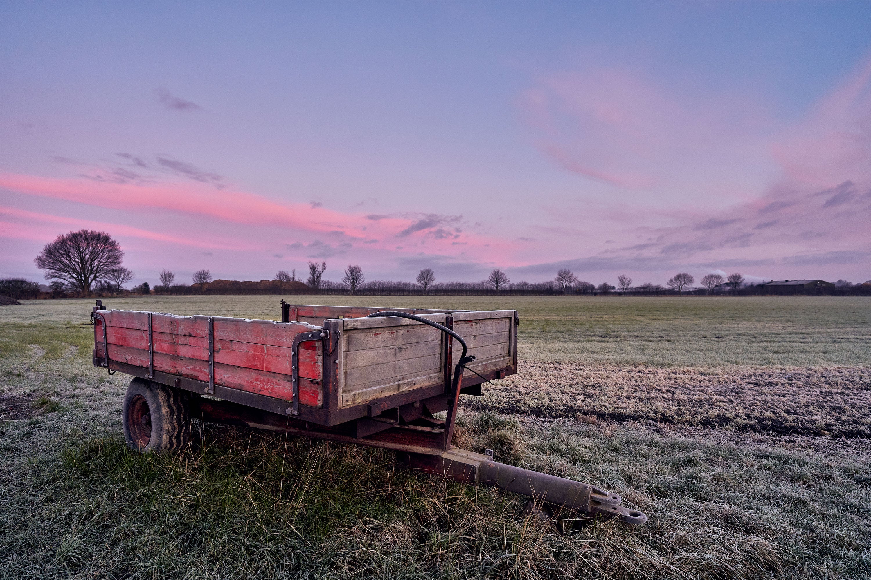 A frosty morning with a trailer in the foreground and a pink pastel sky.