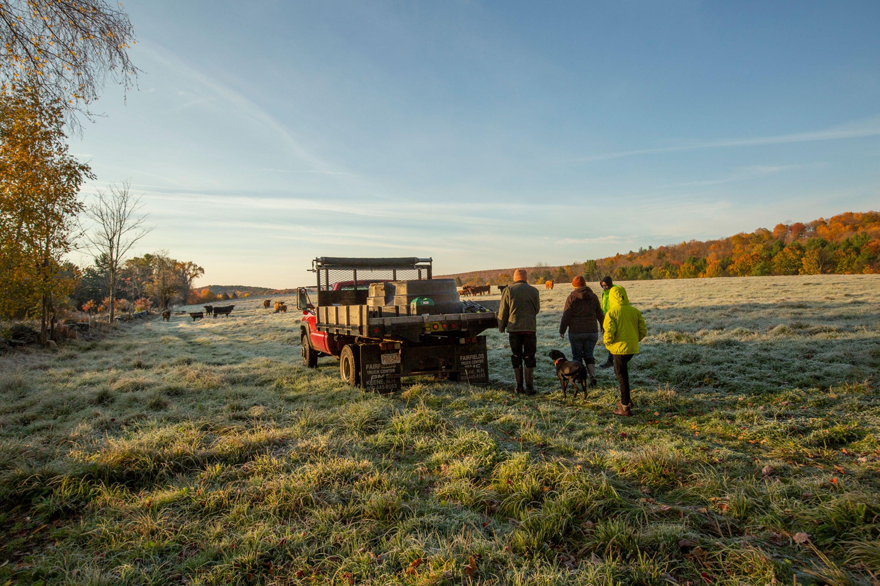 People and a dog standing in a frost covered field with a truck and cattle