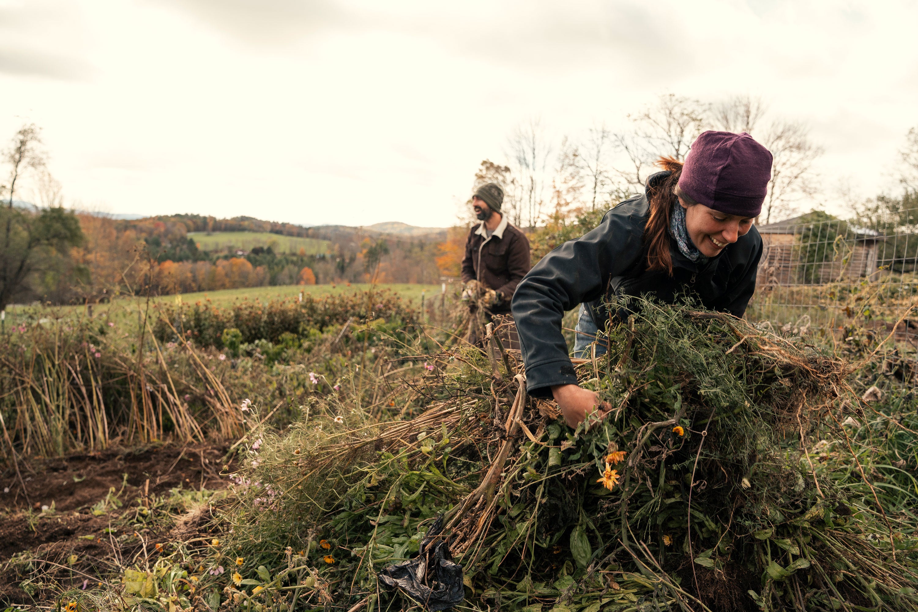 Woman and man harvesting crops in Autumn