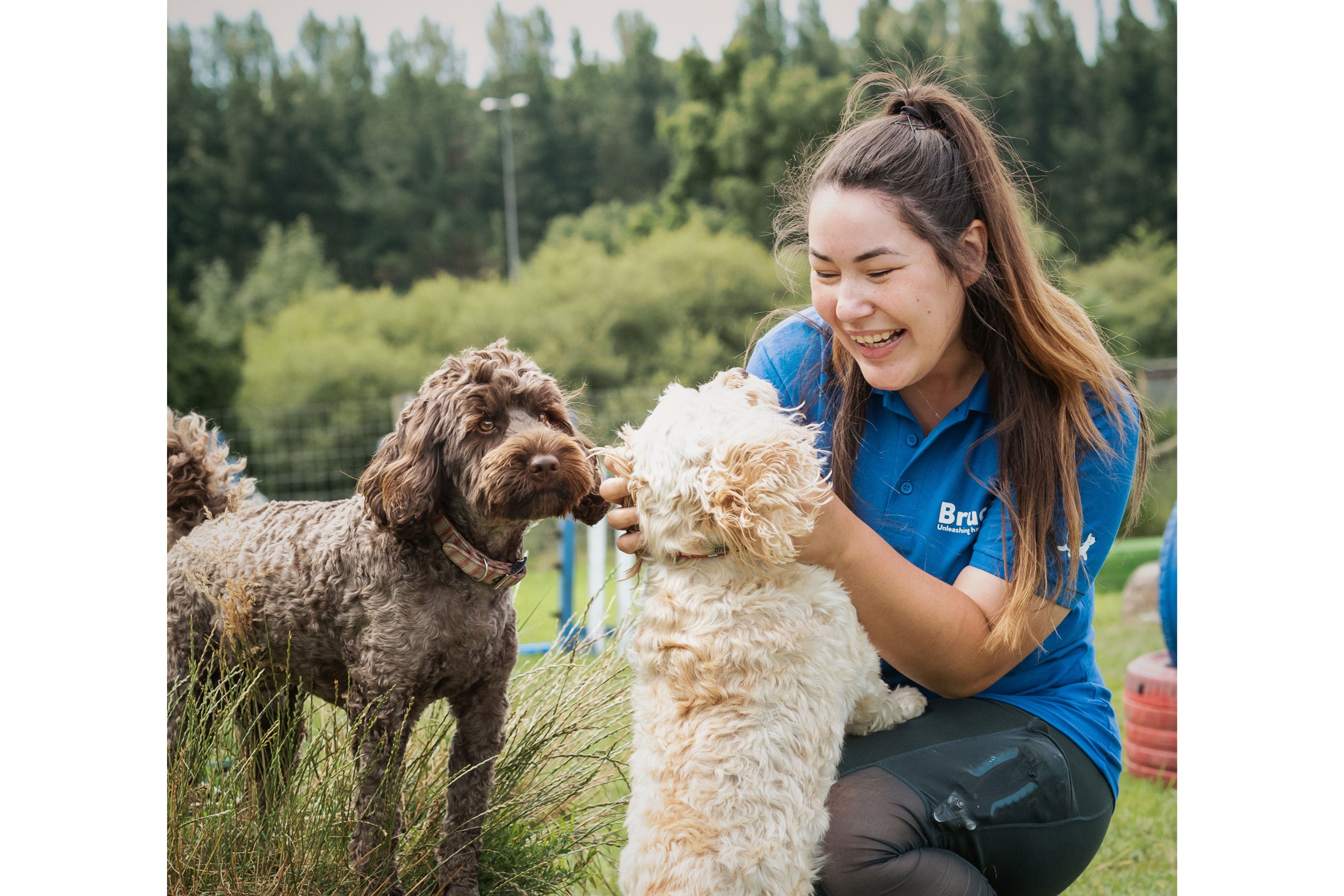 A woman giving fuss to a light coloured cockapoo with another brown cockapoo to the side