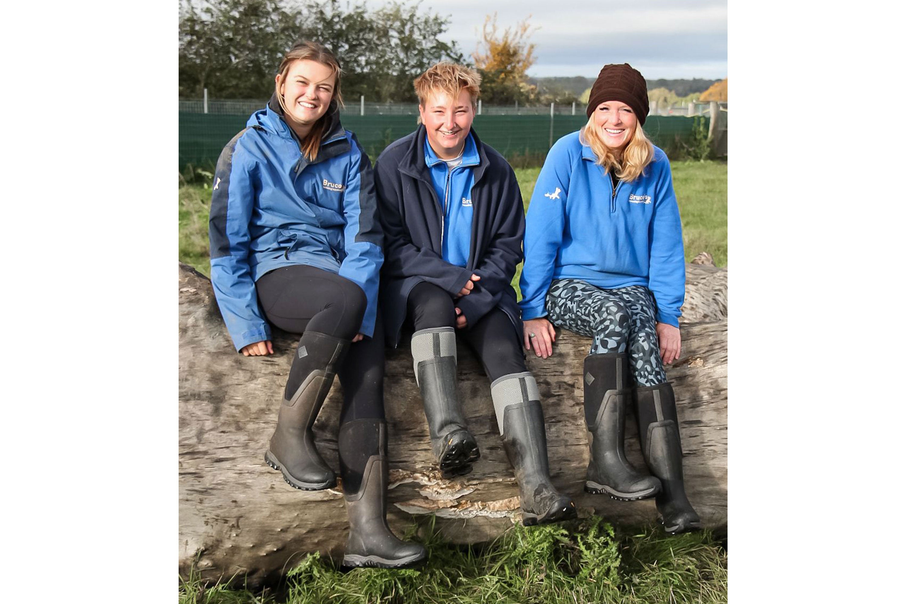 Bruce's Doggy Day Care colleagues sat on a large log, wearing pairs of Muck Boots