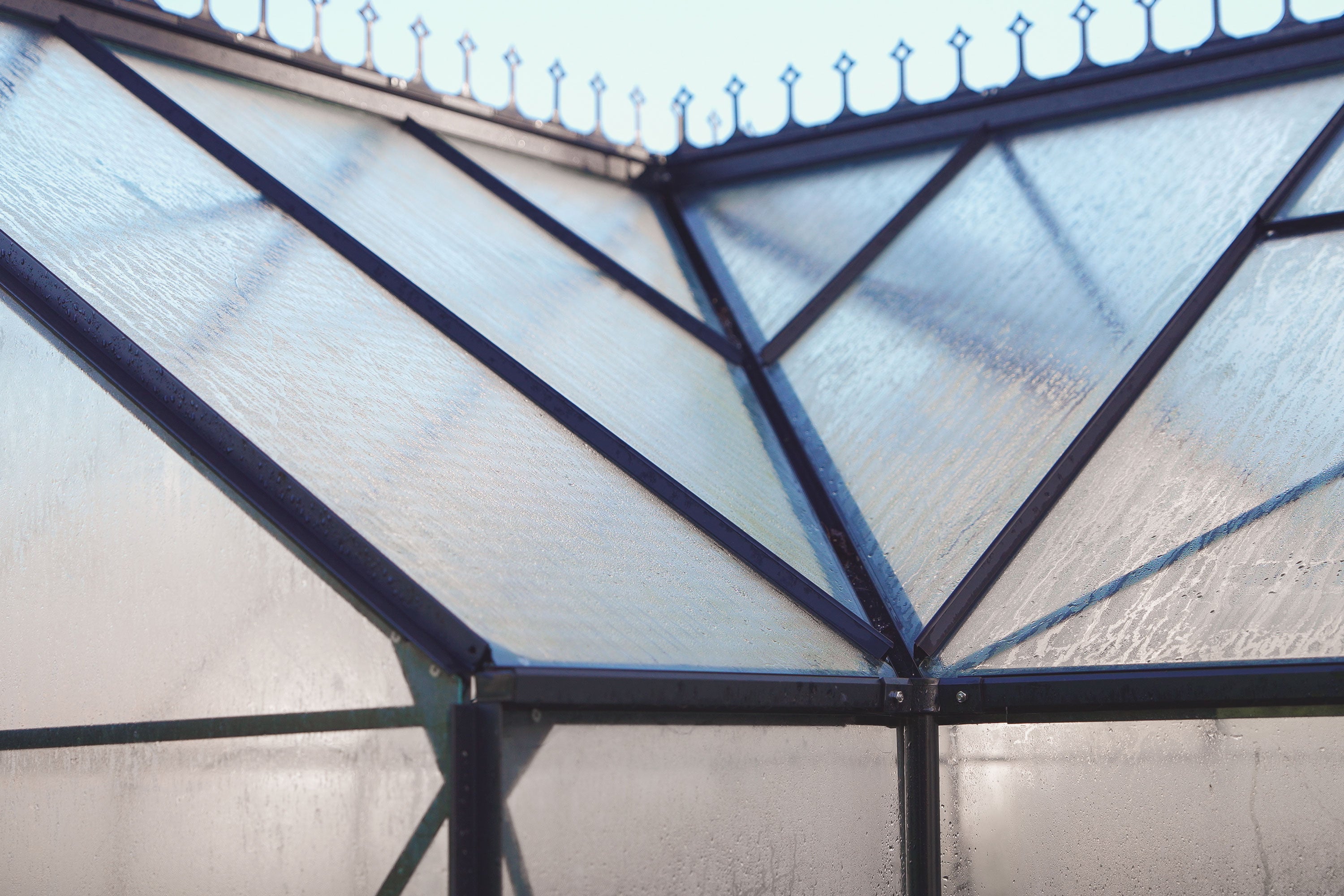 A wet greenhouse roof