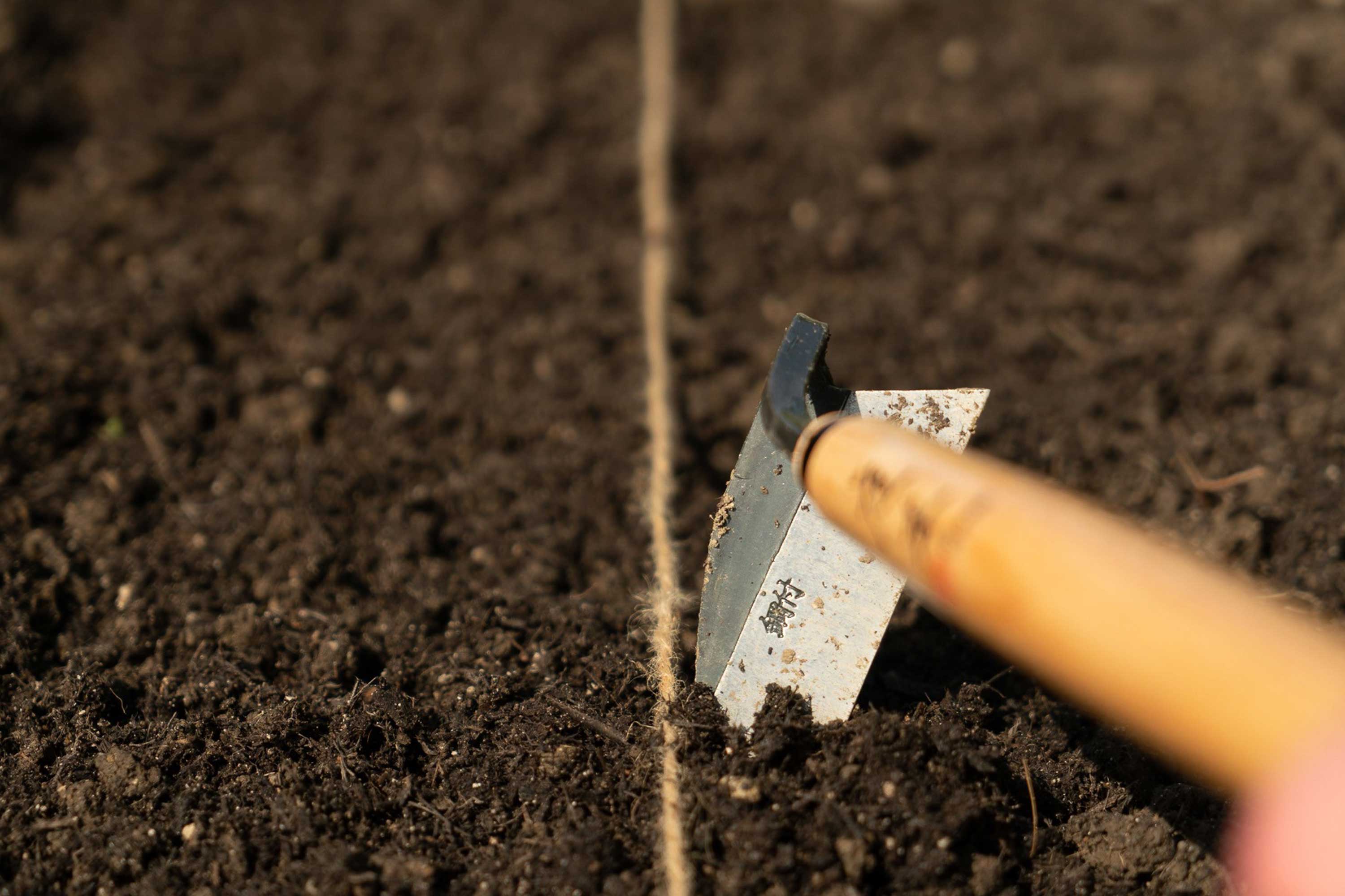 Nahaufnahme einer Gartenkelle, die sich durch lockeren Boden gräbt, mit einer Schnur, die durch die Erde geführt wird.