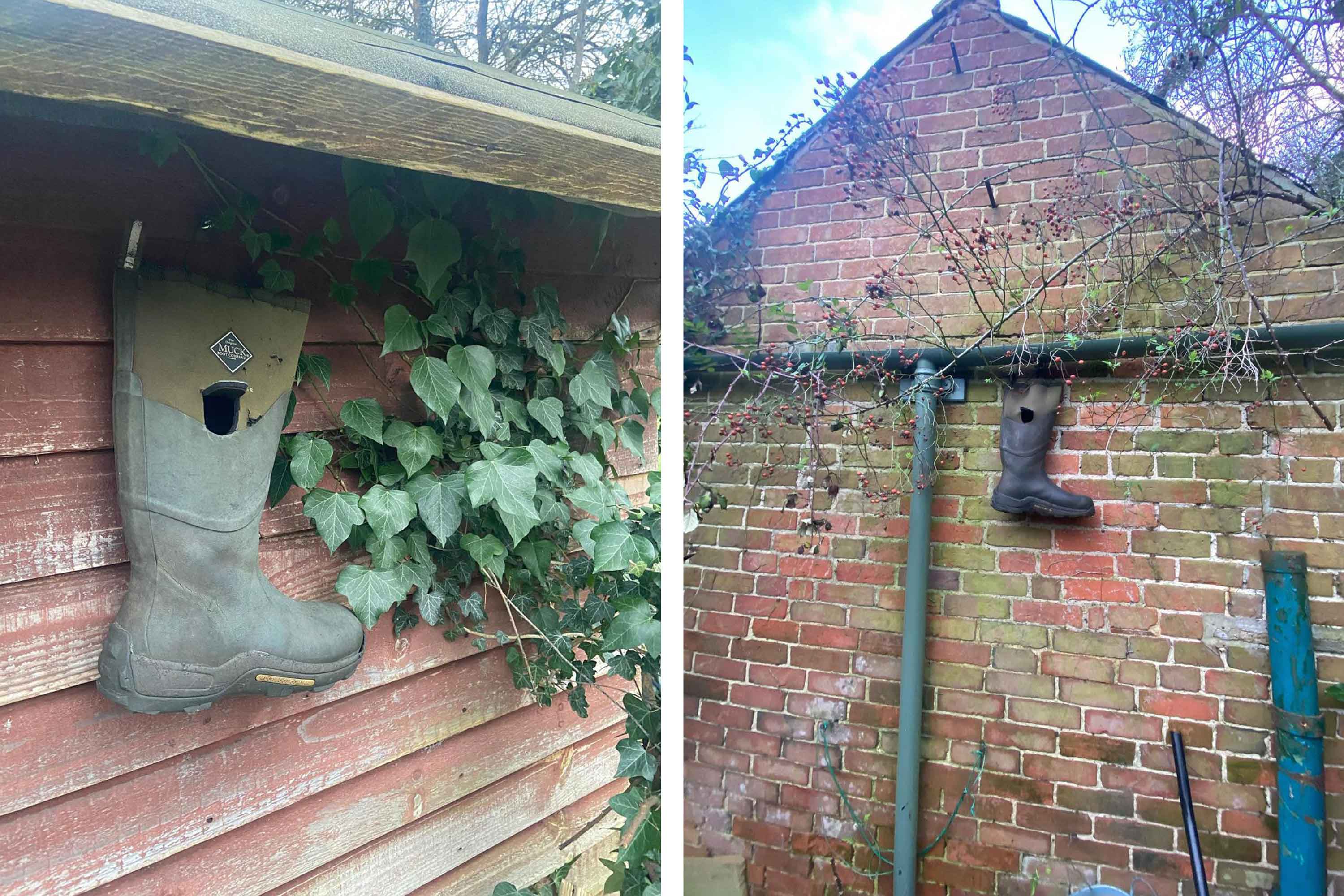 Two images of single Muck Boot wellington hung up as bird feeders, one on a wooden shed and the other on a brick wall