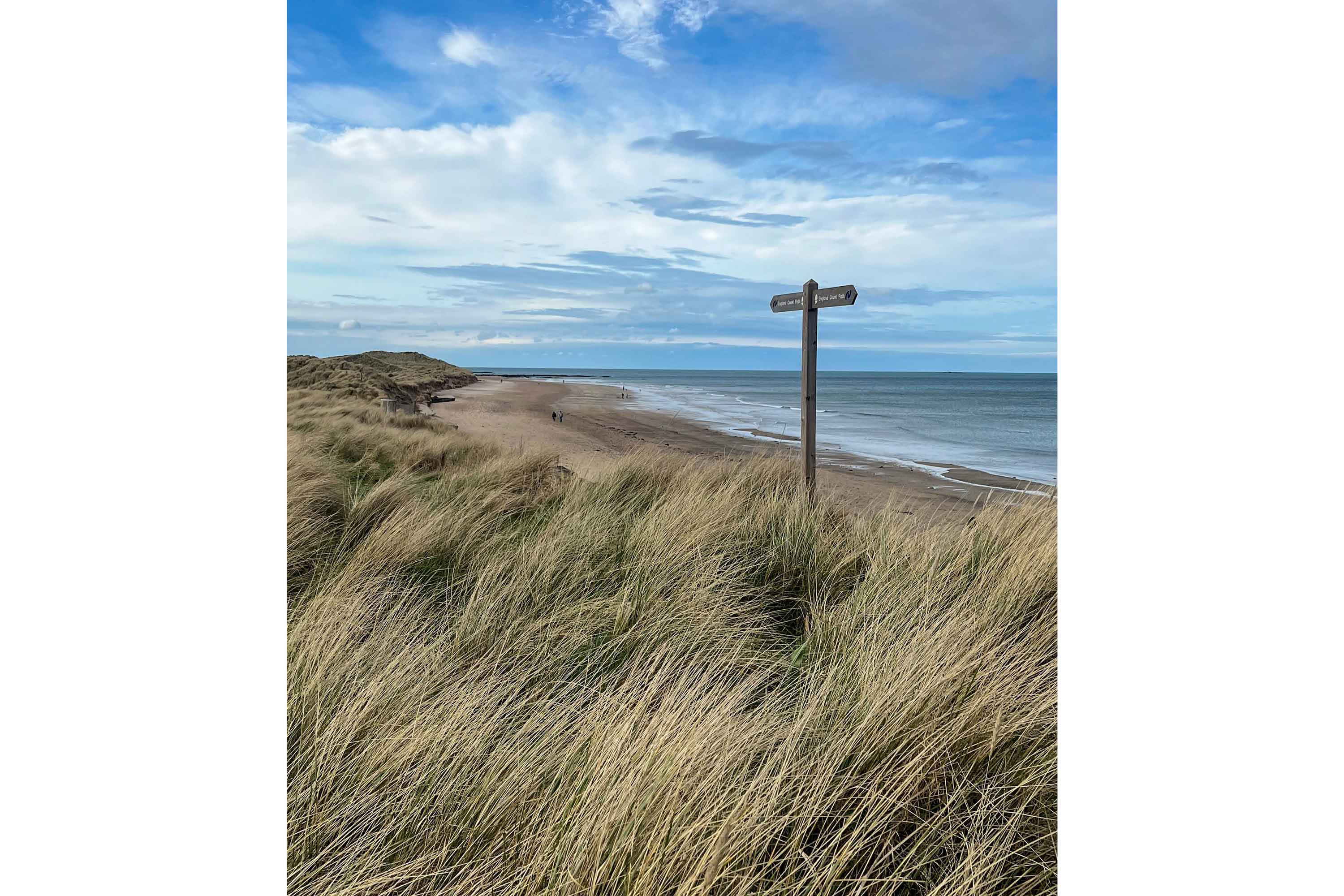 Coastal grass blowing in the wind with a wooden signpost, beach and blue sky with wispy clouds