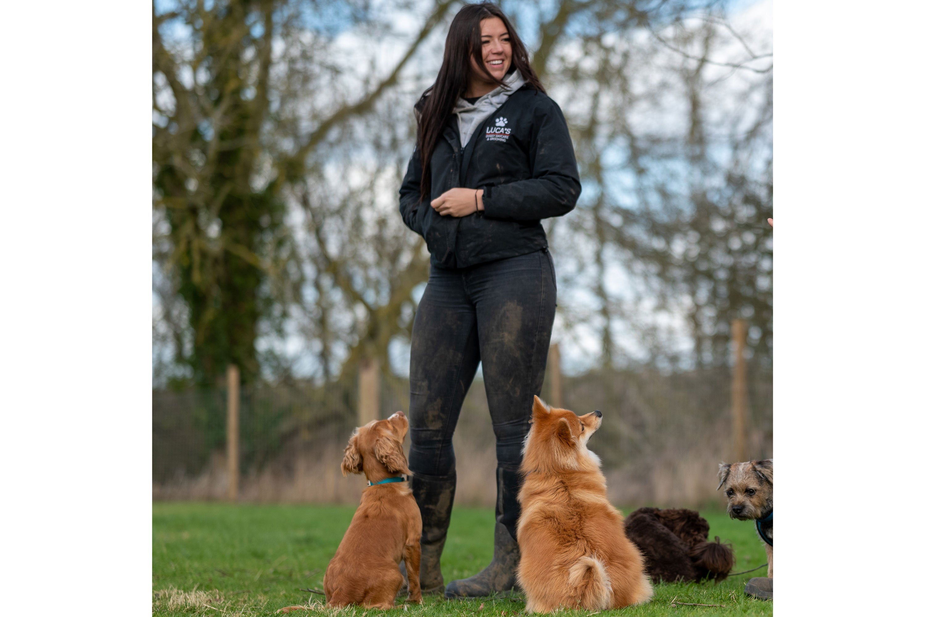 Dogs waiting for a treat from their handler