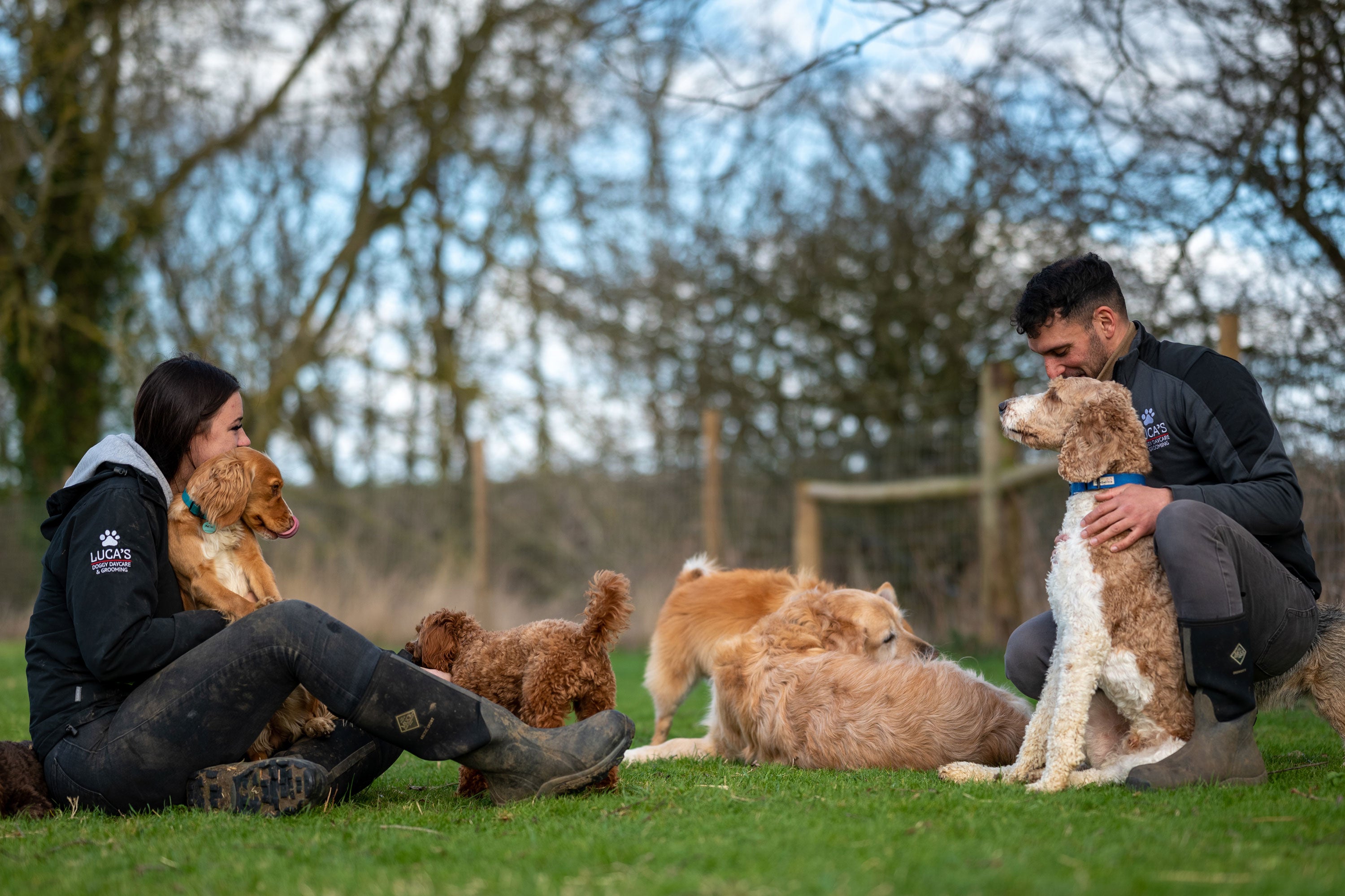 A couple of handlers sit either side handling a dog each with three dogs resting in the middle