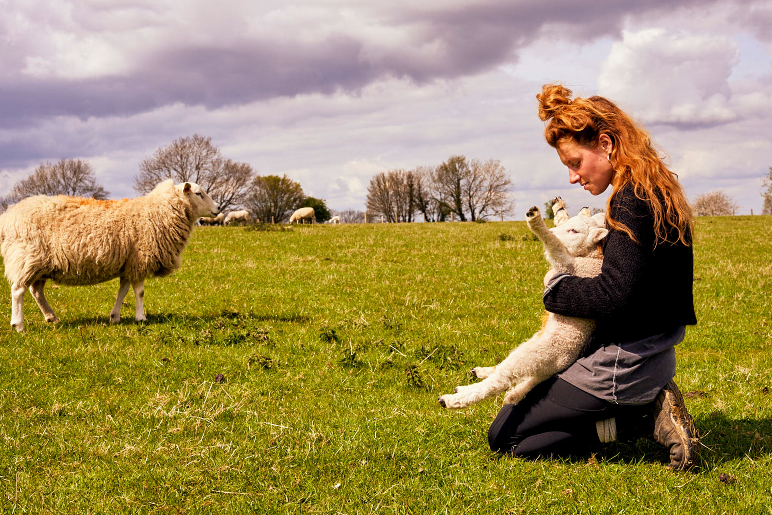 Zoe holding a lamb up against her.