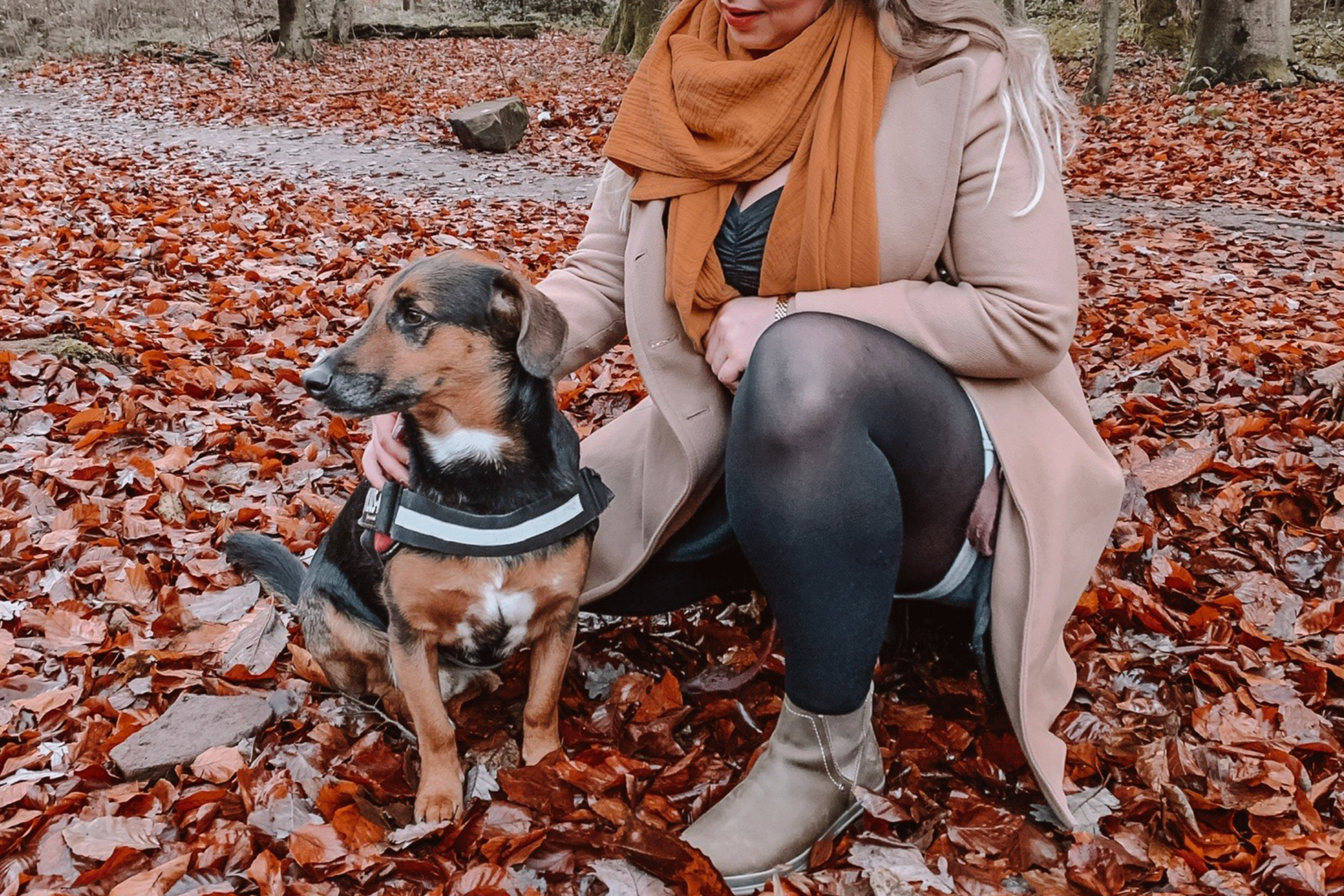 Woman crouched down on Autumn leaves holding her dog.