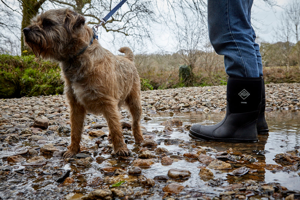 Odds kom videre tøffel Best Boots for Dog Walking - Muck® Boots UK