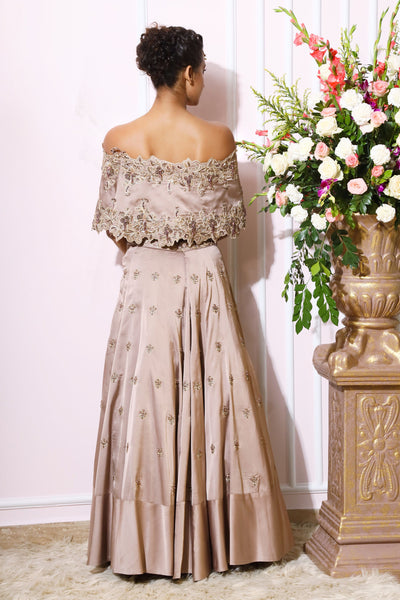 Almond Embroidered off shoulder cape with bustier and lehenga skirt