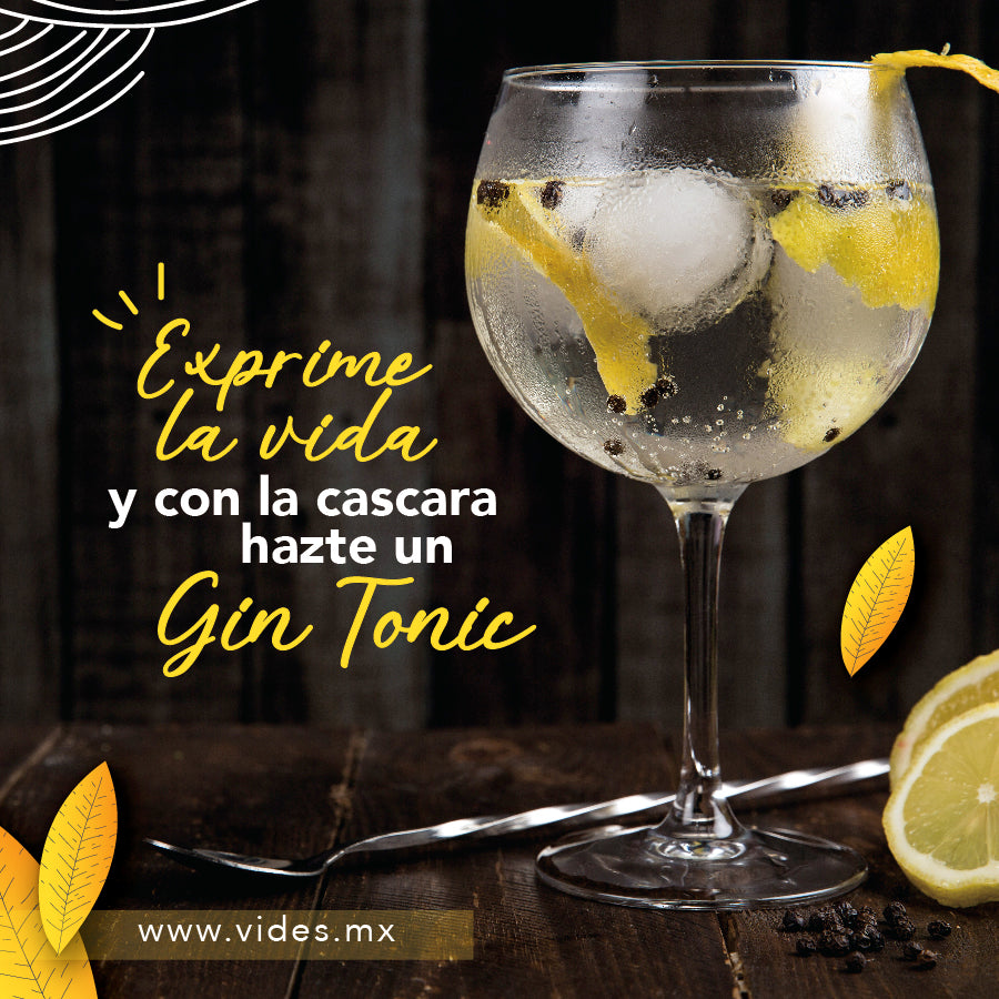 5 Recetas para preparar Gin Tonic – videsmx