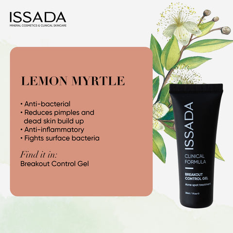 issada mineral cosmetics