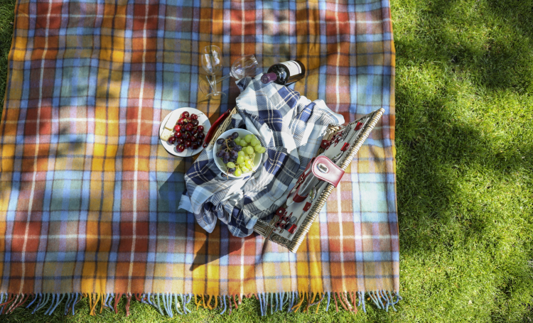 picnic blanket colourful