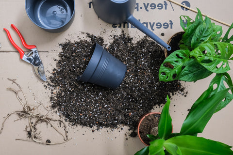 repotting station for plants