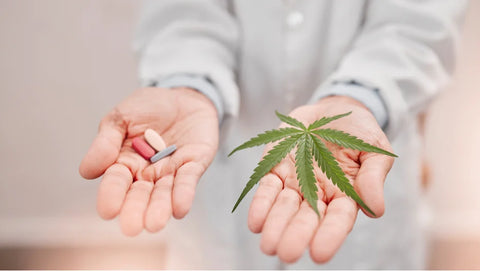 Hand of a men showing a cannabis leaf and some medication