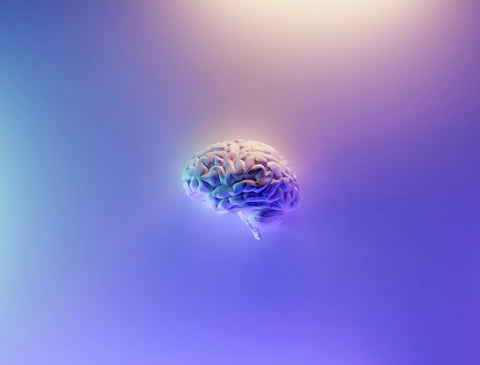Image of a brain in AI generated image style with tones of blue and purple