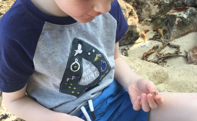 William studying a shell intently