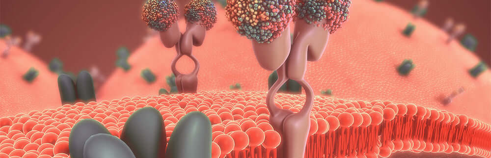 Digital rendering of the body using glucose