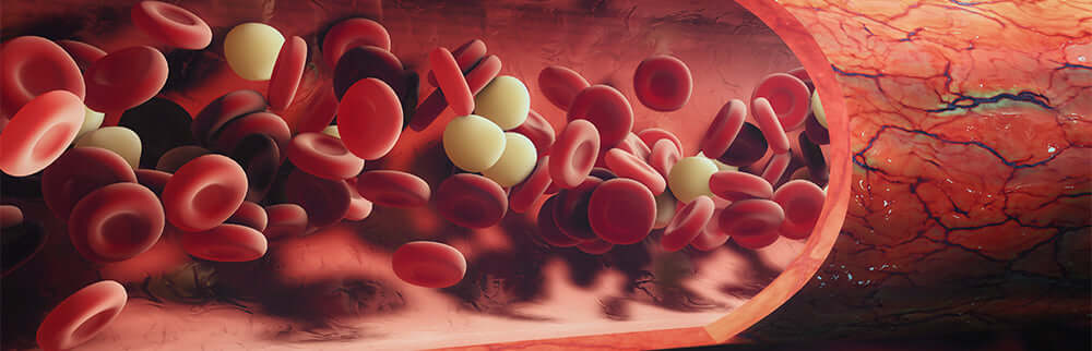Image of Red Blood Cells