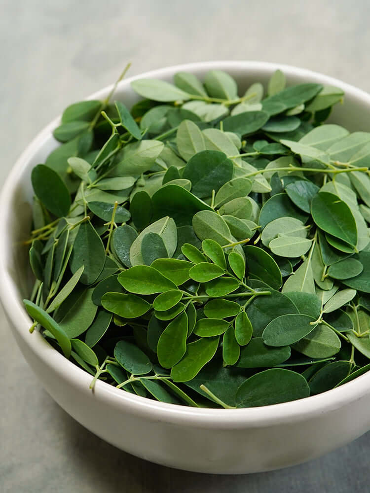 Bowl of moringa oleifera leaves