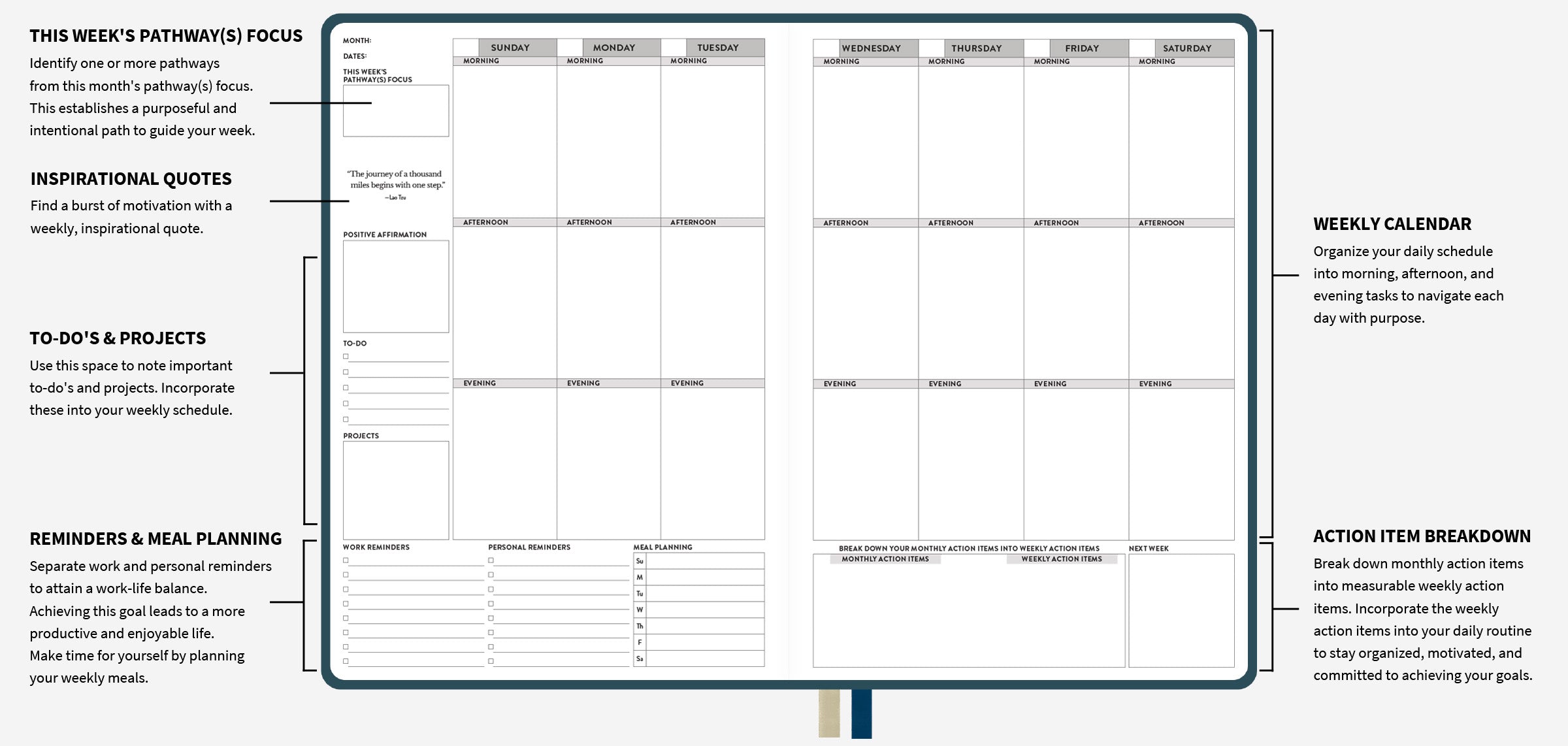 Example of the weekly spread in the undated planner