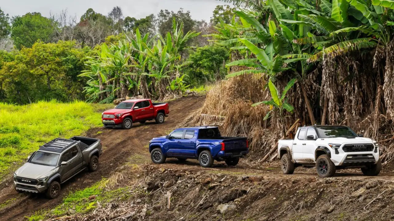 2024 toyota tacoma colors