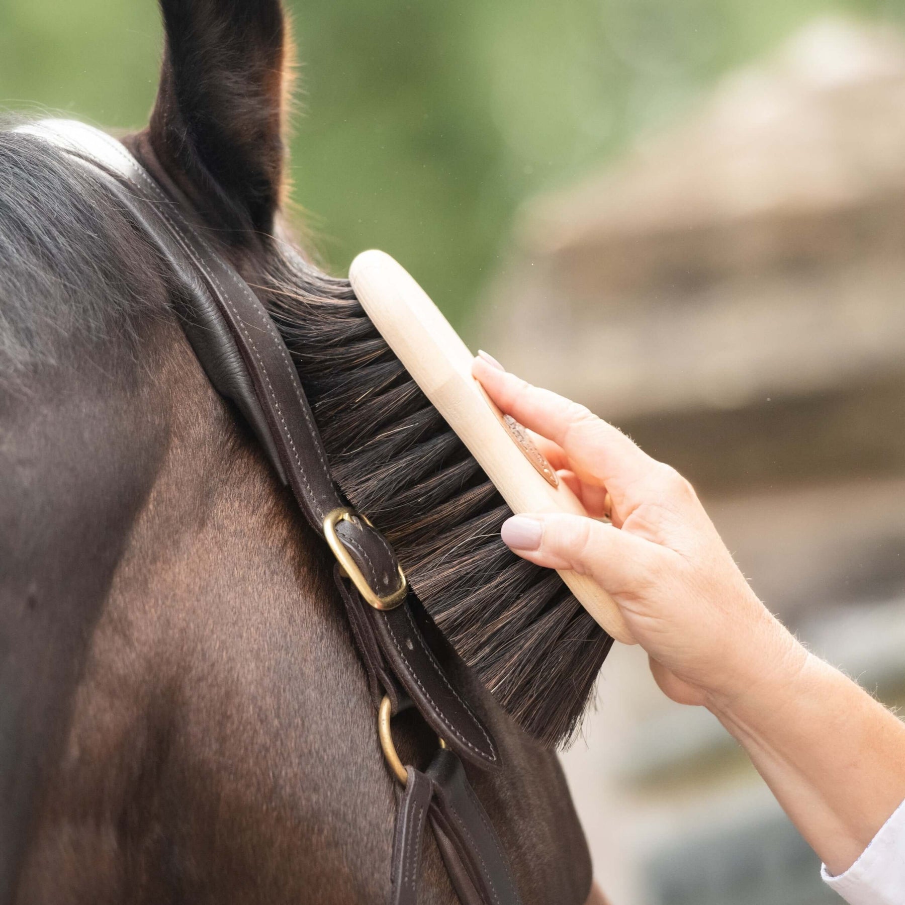 Curved Mane & Tail Brush