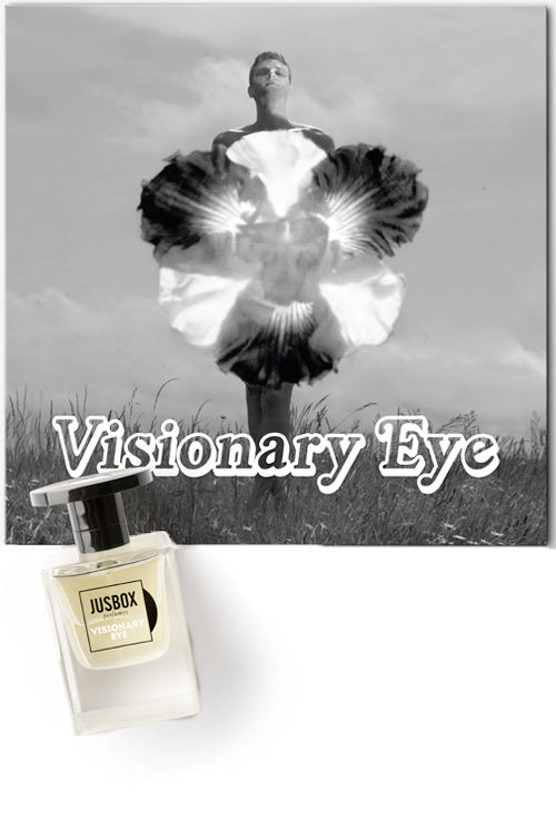 VISIONARY EYE