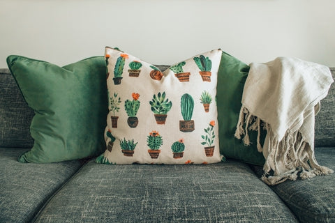 dark green sofa with a cactus throwpillow 