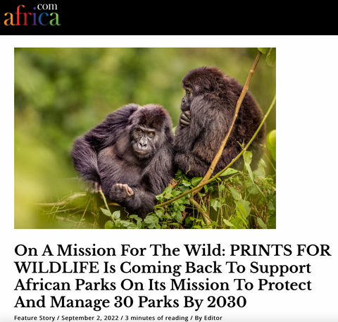 Africa.com feature