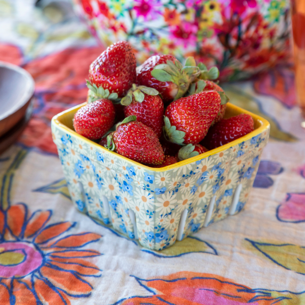 COLANDER