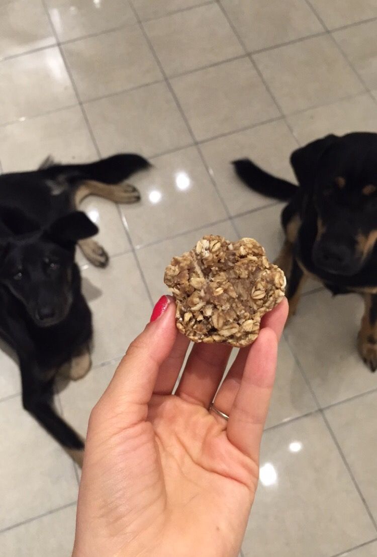 Homemade dog treats