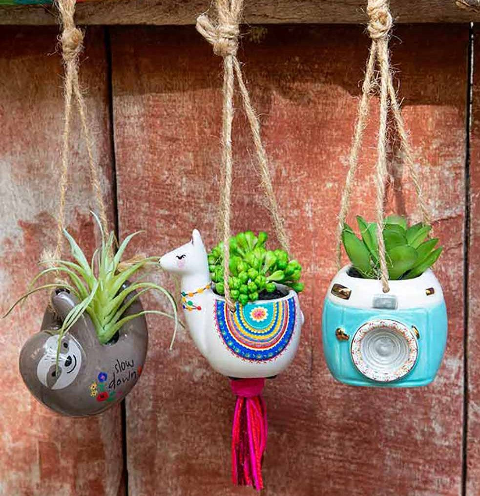 sloth, llama, camera shapedfaux succulents