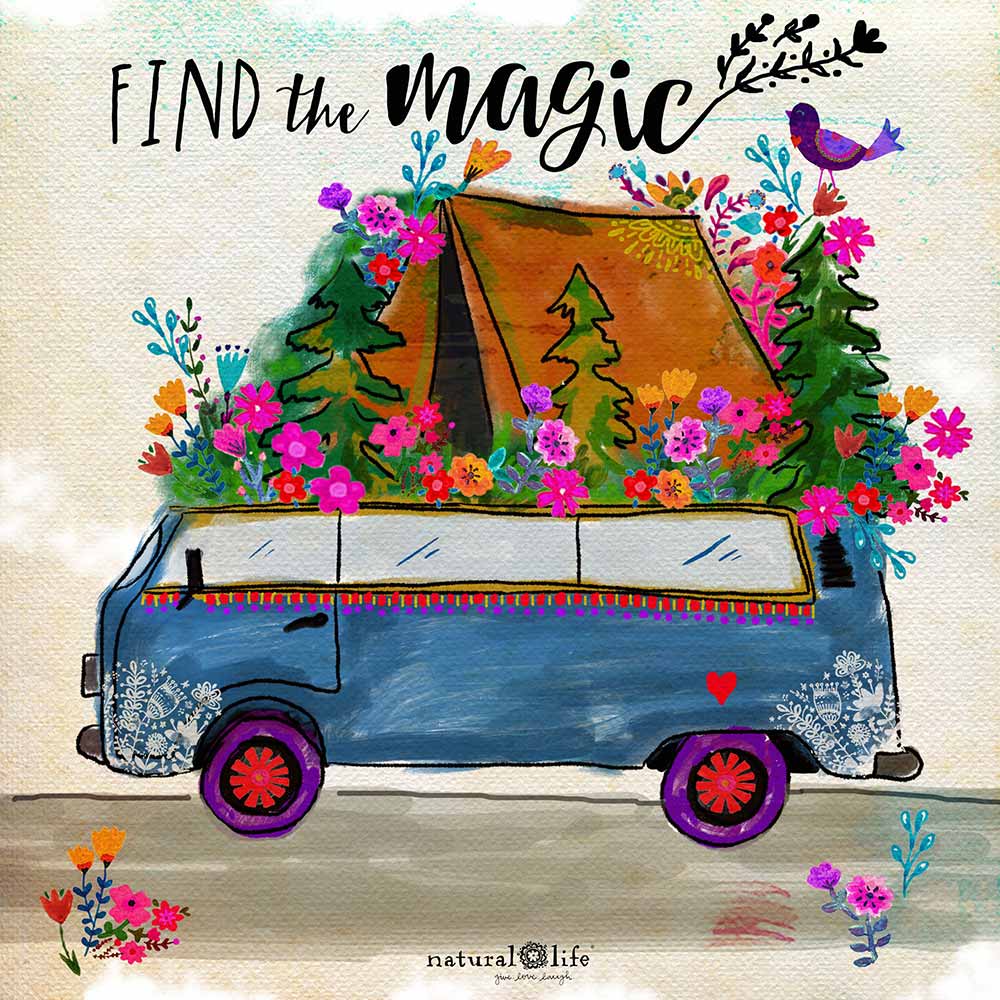 find the magic van camper graphic