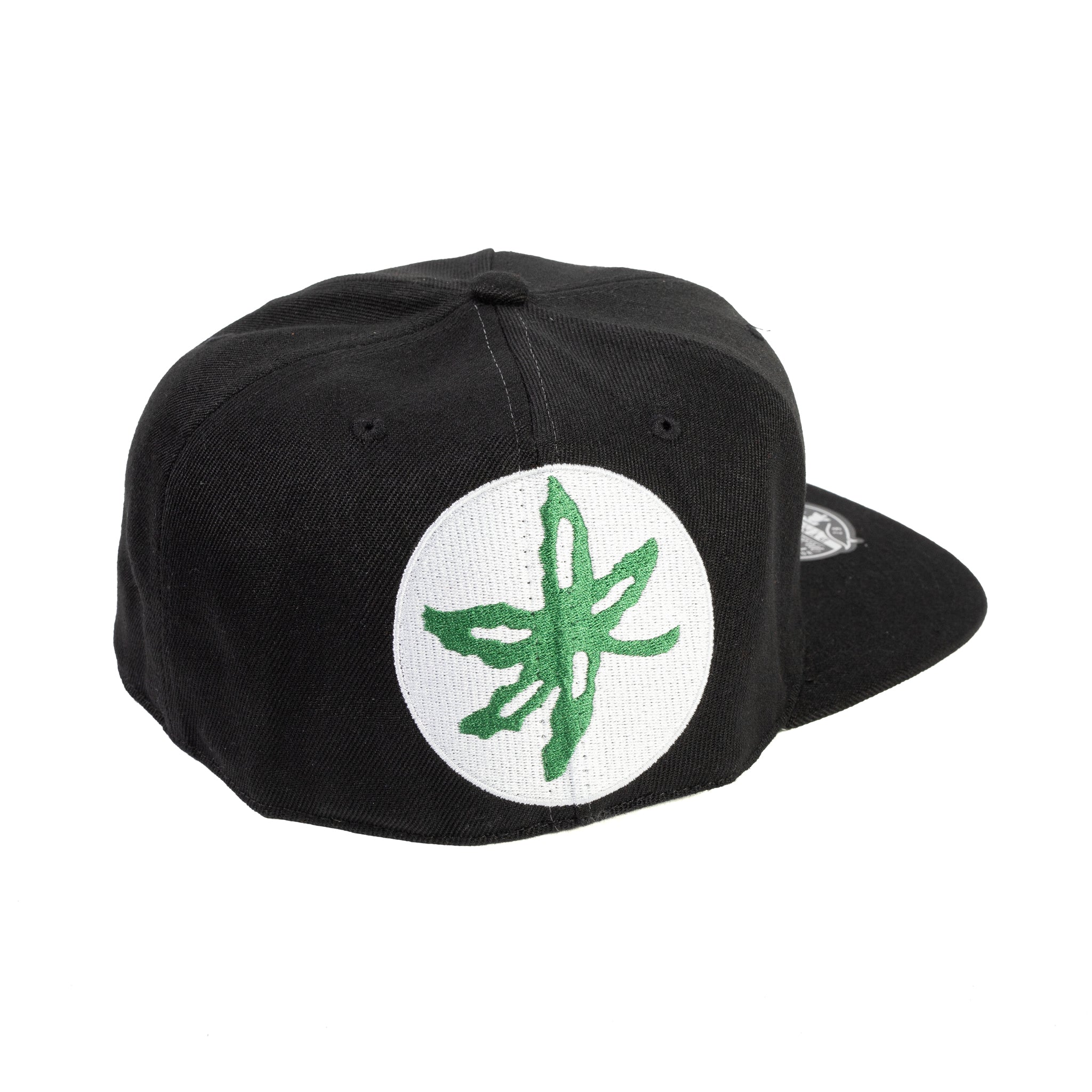 Mitchell & Ness NCAA Bigback Fitted Hat 'Black'