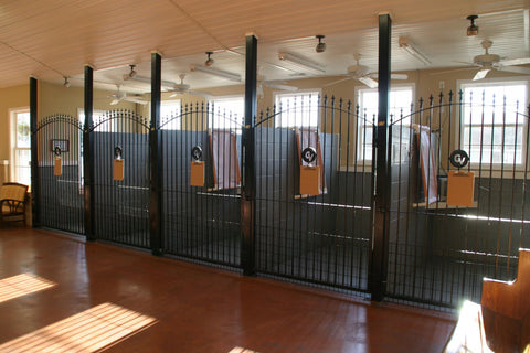 kennel boarding