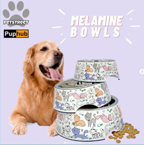 dog bowls