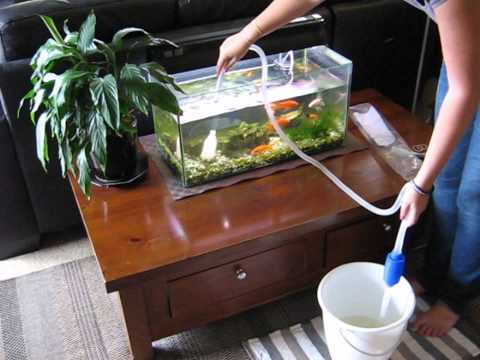 removing water from fish tank