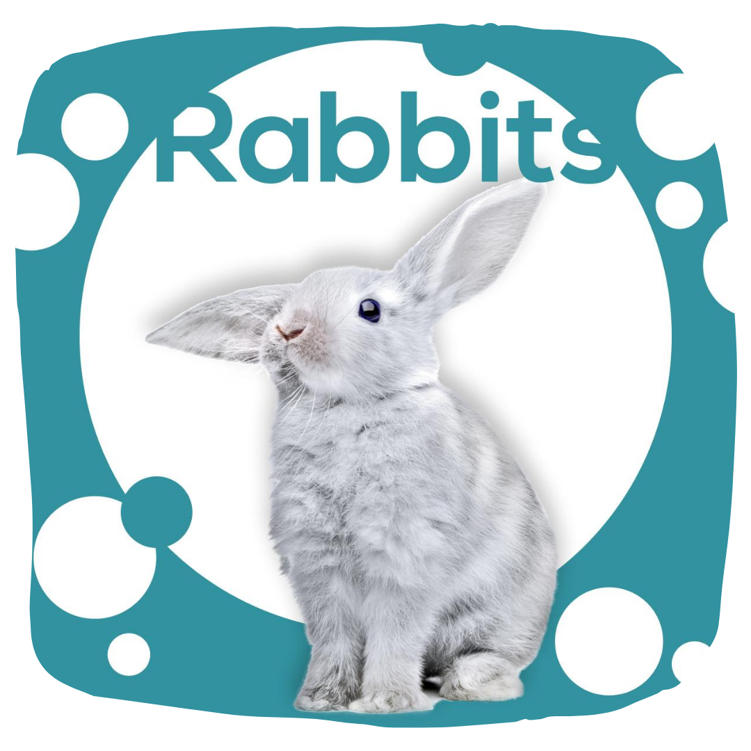 Rabbits