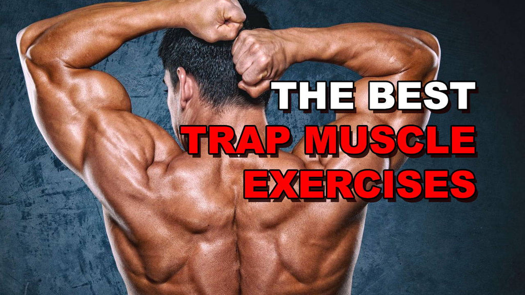 The 5 Best Trap Muscle Exercises For Rapid Growth 9116