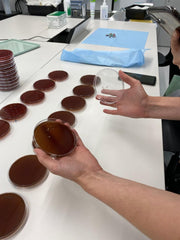 Blood Agar plates