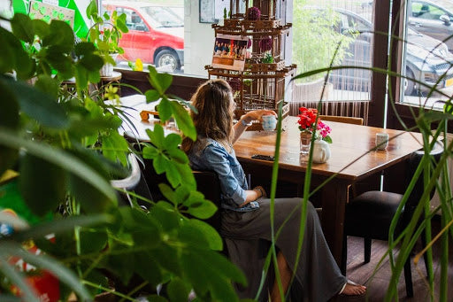  woman drinking tea in cafe looking out of window