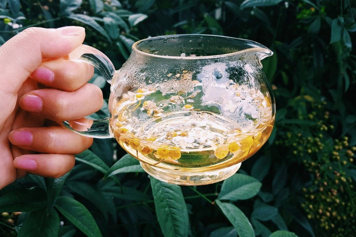 woman holding clear jug of chamomile tea