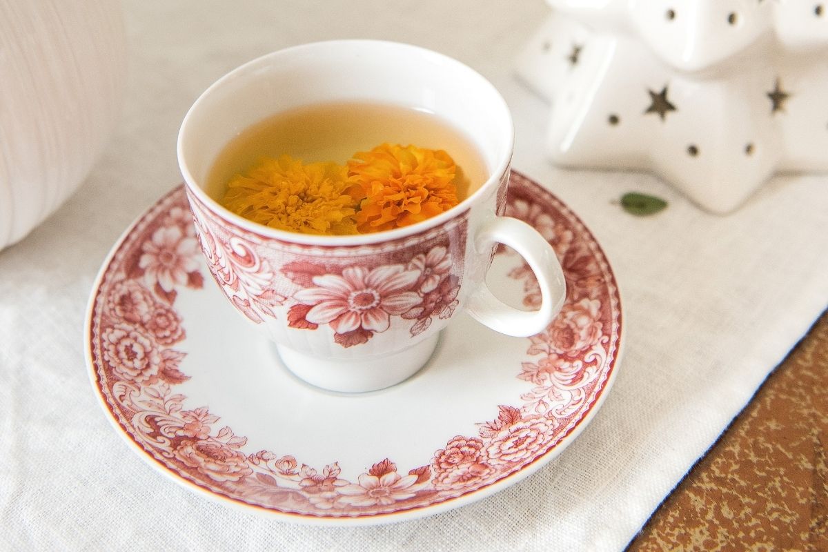 flowers in red and white china tea cup