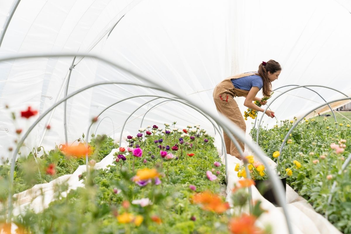 woman gardening