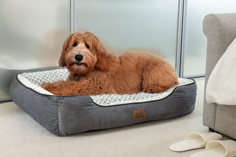 The perfect dog beds and cat beds for your four-legged friends 2